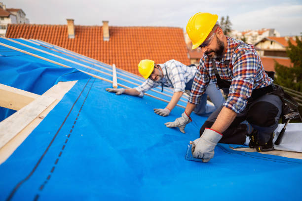 Best Local Roofing Companies  in Hannahs Mill, GA