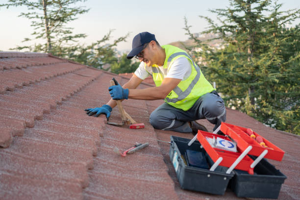 Best Metal Roofing Contractor  in Hannahs Mill, GA
